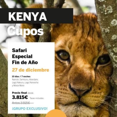 León en un árbol con información sobre un safari en Kenia el 27 de diciembre.